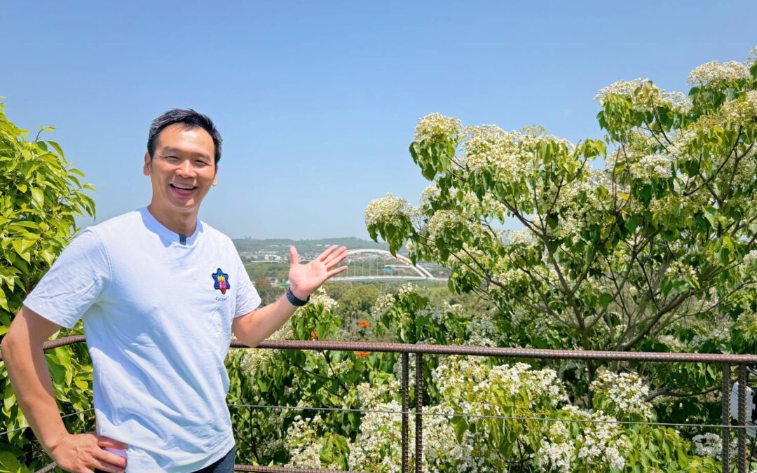 【花見幸福・抵嘉桐聚】2025  嘉義市桐花祭全攻略