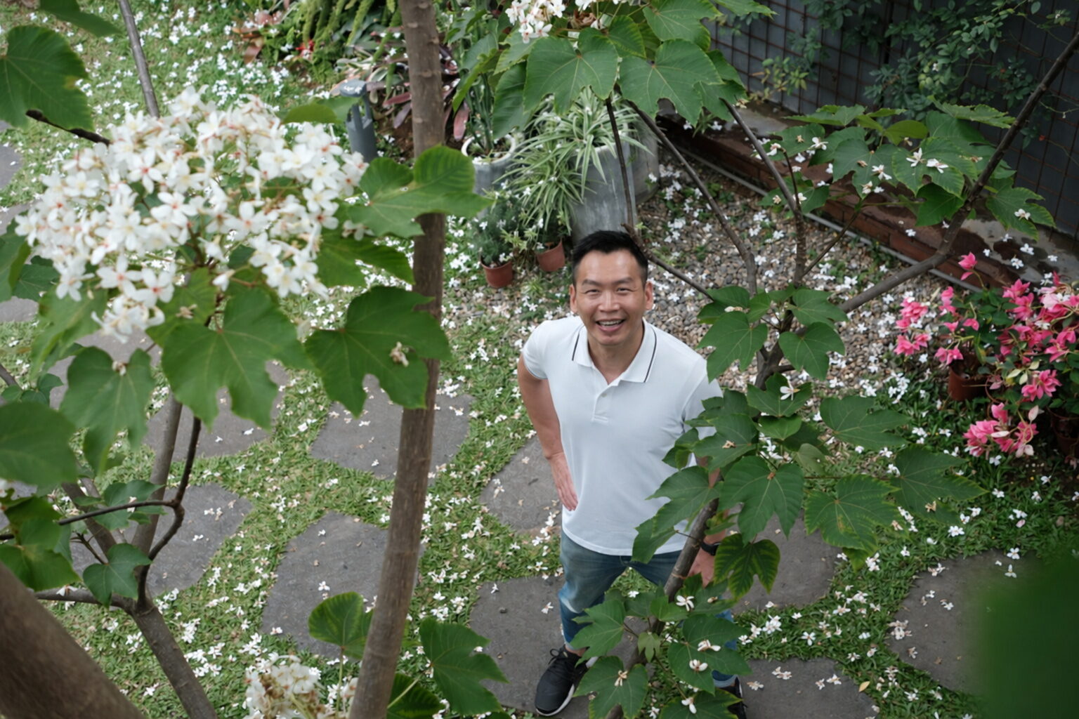 路樹管理制度化
